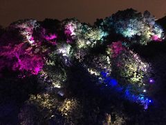 景点-飞凤山奥体公园