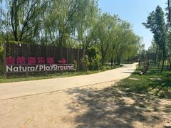 -圣露庄园·亲子活动乐园·露营·团建婚礼