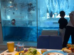 -帝企鹅自助餐厅•儿童岛•真企鹅(长隆企鹅酒店)