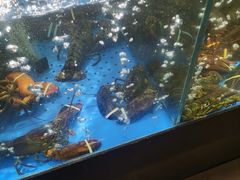 -蟹之国·精品蟹料理(极地店)