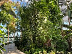 -北京植物园-展览温室