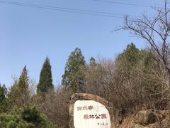 -白水寺森林公园