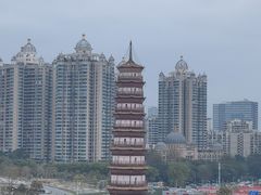 -小茶闲舍·观景商务茶馆(广州塔店)