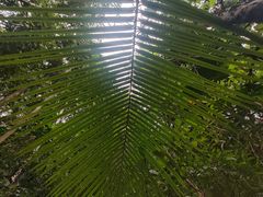 -七仙岭温泉国家森林公园