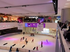 -TheRink大零溜冰场(IFS国金中心店)