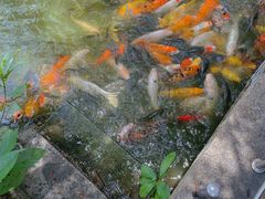 -珠海圆明新园