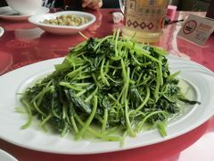 -明珠湖天鹅苑·农家菜馆