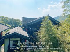 -大唐贡茶院