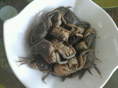 -江天生态园餐厅