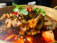 -涿派·炝锅鱼(涿州店)