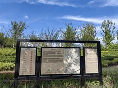-上海山野camping·户外天幕烧烤·团建拓展营地