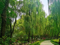 -百脉泉景区