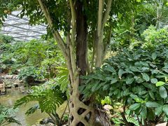 -南通洲际绿博园