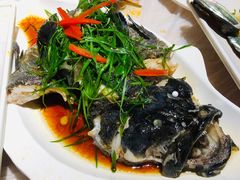 清蒸石斑鱼-桥东喜碧海鲜街(水东街店)