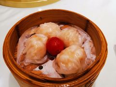 -威哥美食(迈科国际店)