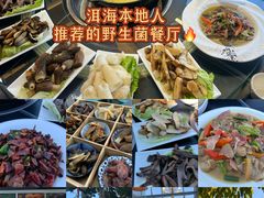 -野菌皇海景野生菌火锅(滨海大道店)