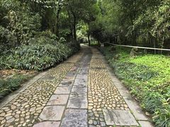 -采石矶景区