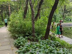 -黑龙江省森林植物园