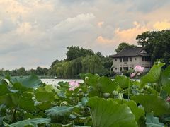 -楼外楼(西湖景区孤山路店)