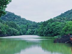 -白马涧龙池景区