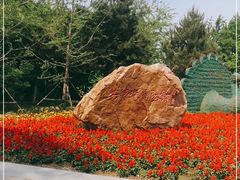 -长白岛森林公园