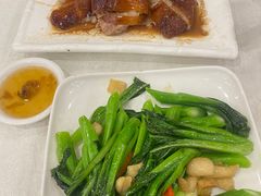 -姚林轩