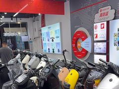 -九号电动车(安定门内大街店)