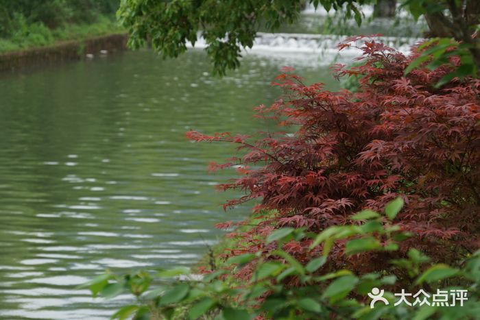 古堰画乡景区图片