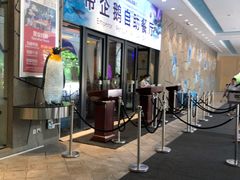 -帝企鹅自助餐厅•儿童岛•真企鹅(长隆企鹅酒店)