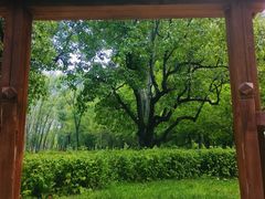 -晋祠公园