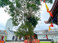 -巽寮印象美食部落餐厅·海鲜·地方特色菜(惠州体验店)