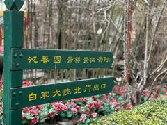 -白家大院·王府宫廷菜(苏州街店)