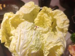 -芸山季·云南山珍菌火锅(人民广场来福士店)