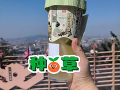 -茶颜悦色(岳麓山顶店)