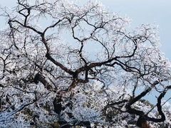 -梵净山旅游区