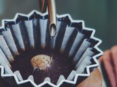 手冲巴拿马花蝴蝶-2326 Coffee Roaster咖啡豆可选店(林肯公园店)