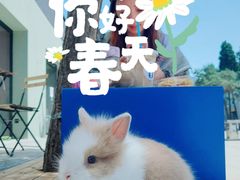-小意思咖啡店(草桥店)