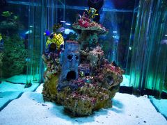 -太平洋海底世界