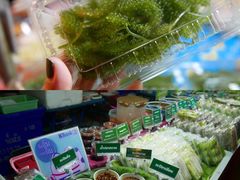 -席娜卡琳火车铁道夜市