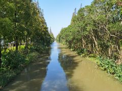 -上海长兴岛郊野公园