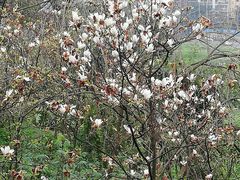 -重庆平顶山公园