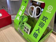 -海底捞大排档火锅(打浦路店)