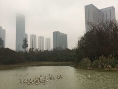 -艾溪湖湿地公园