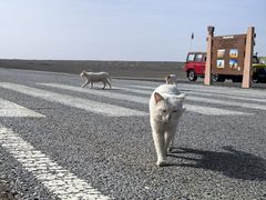 -敦煌雅丹国家地质公园