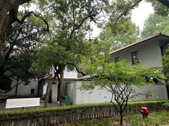 -上海宋庆龄故居纪念馆