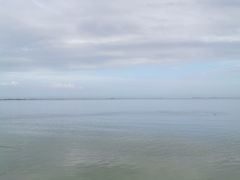 -大湾区中央湿地公园