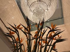 -LONG BAR 廊吧(外滩华尔道夫酒店)