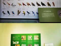 -辽宁大学(崇山校区)