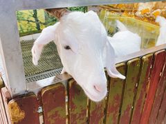-上海大自然野生昆虫馆
