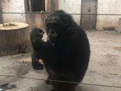 -新疆天山野生动物园